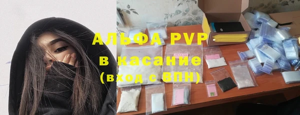 тгк Новодвинск