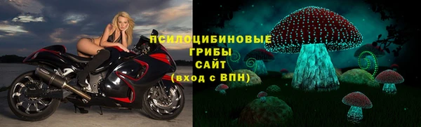 тгк Новодвинск