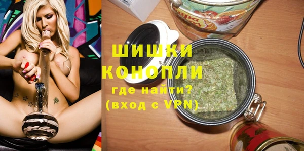 тгк Новодвинск