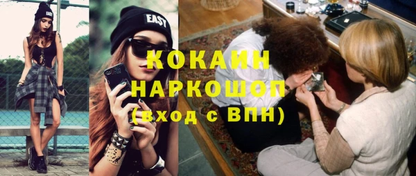 тгк Новодвинск
