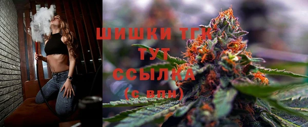 тгк Новодвинск