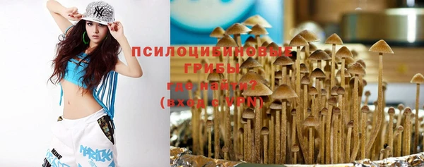 тгк Новодвинск