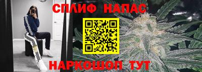 эйфоретик Жуковский