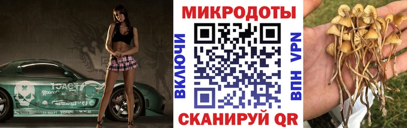 Псилоцибиновые грибы мицелий  купить закладку  Клин 