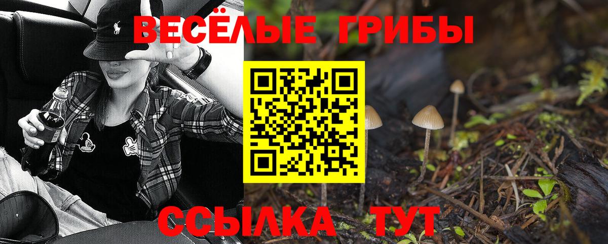 Галлюциногенные грибы мухоморы  Вход с VPN  Клин 