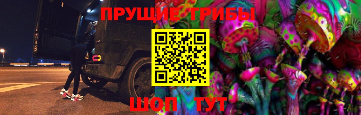 Псилоцибиновые грибы Cubensis Клин